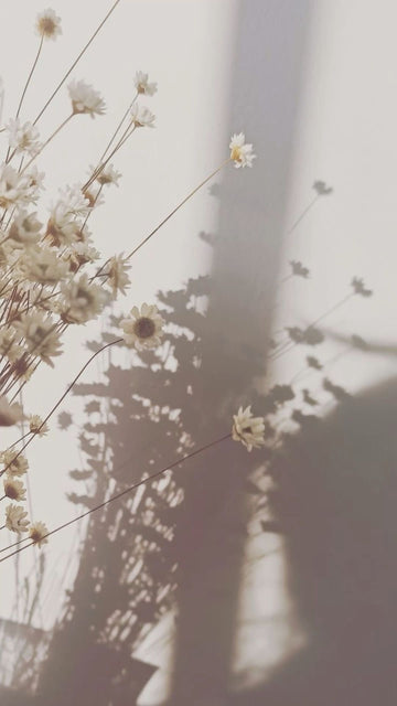 The Science of Botanicals: Understanding the Benefits for Your Skin