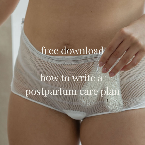 How To Write A Postpartum Care Plan Download